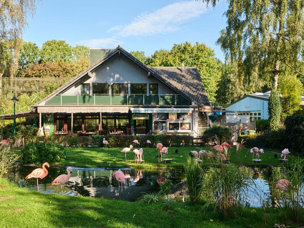 Ein Traum mit Tieren: Der Tierpark Gettorf